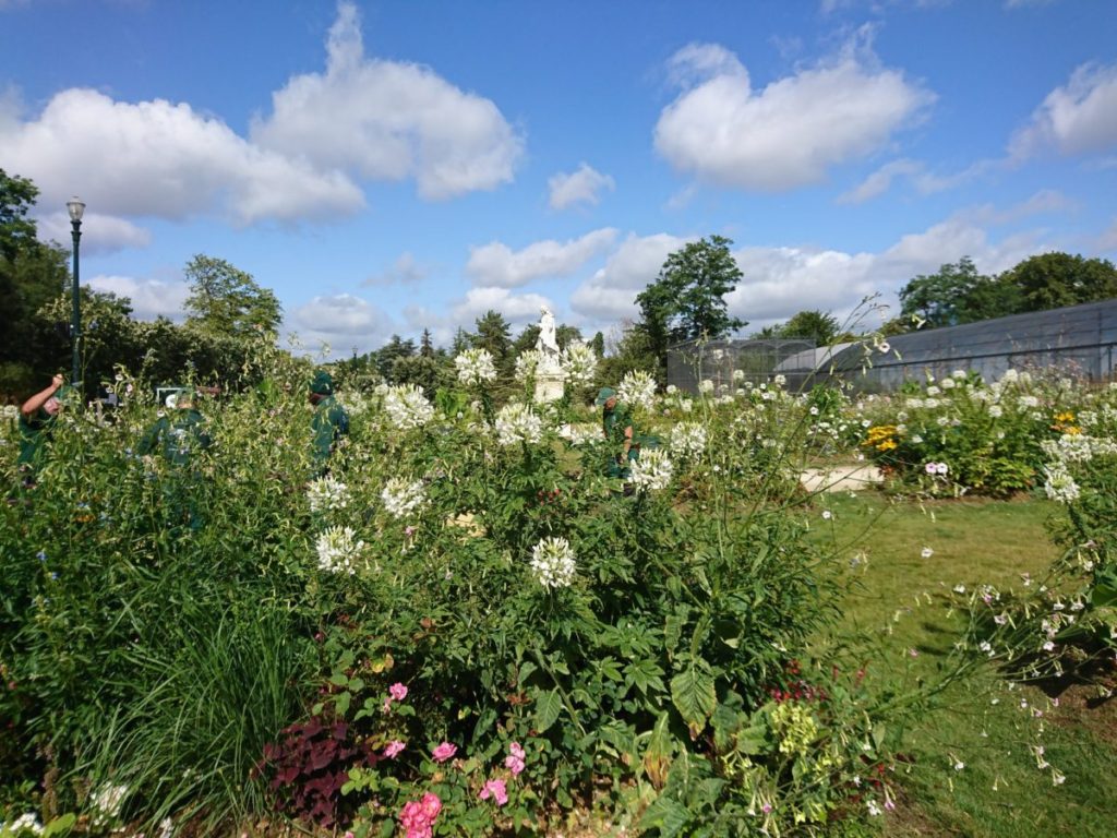 アクリマタシオン庭園(jardindacclimatation)